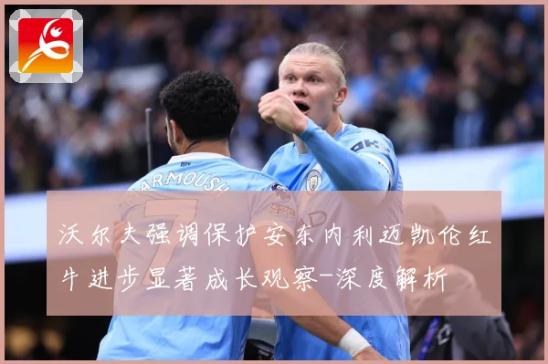 沃尔夫强调保护安东内利迈凯伦红牛进步显著成长观察-深度解析