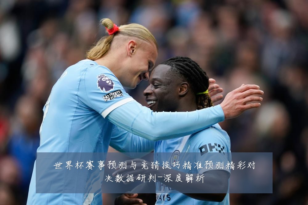 世界杯赛事预测与竞猜技巧精准预测精彩对决数据研判-深度解析